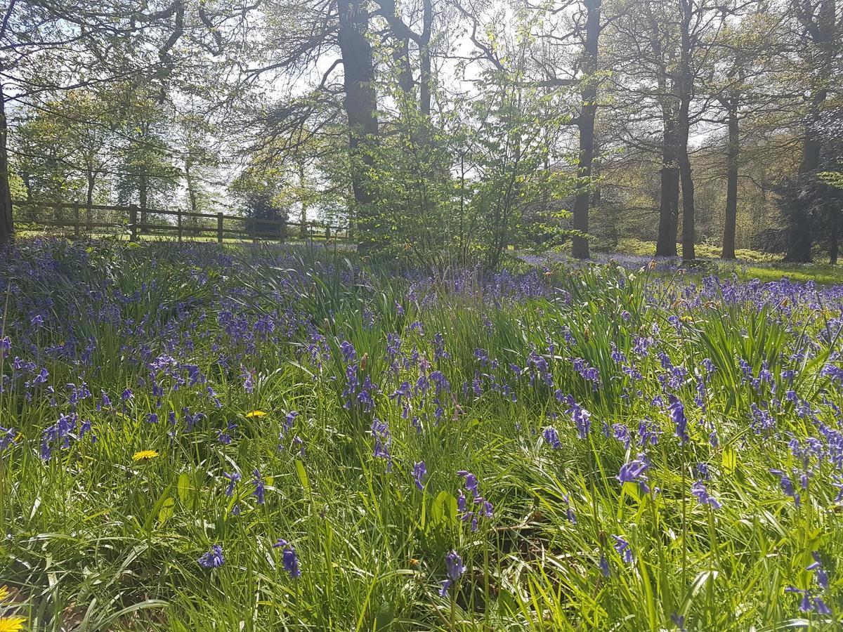 Kelham House Country Manor Hotel Newark-on-Trent  ภายนอก รูปภาพ